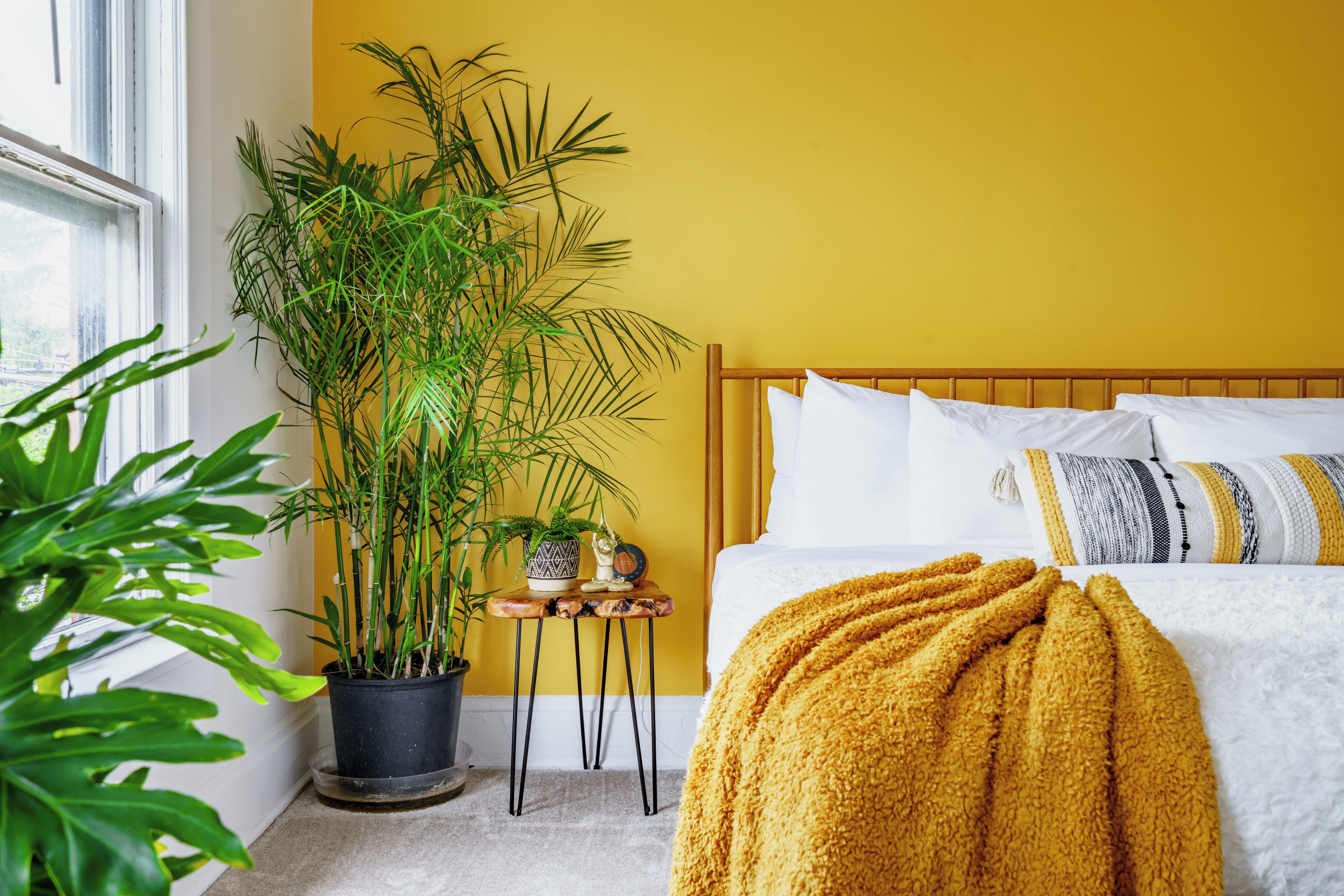Une chambre à coucher avec un lit, un mur jaune, une fenêtre et une plante en pot.