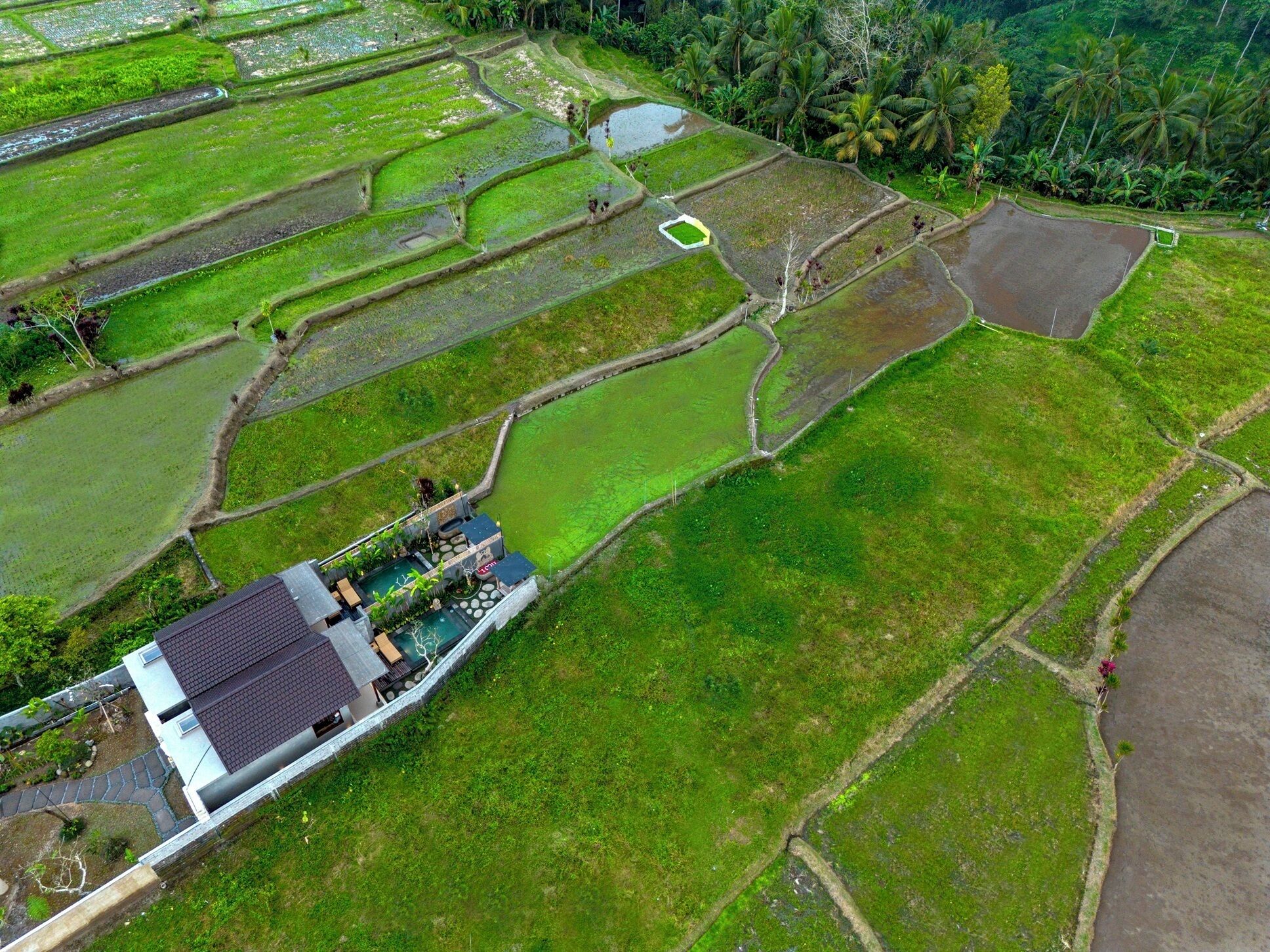 Pemandangan dari udara