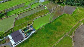 Pemandangan dari udara