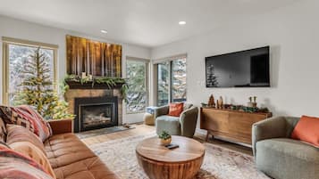 TV, fireplace, offices