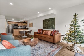 Télévision, cheminée, espaces bureaux