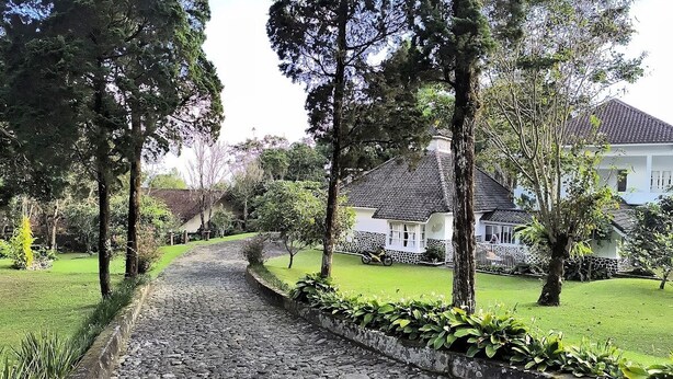 A cobblestone pathway leading to a white house with a tiled roof, surrounded by lush greenery and tall trees. - Villa Narendra Yogyakarta (Pakem)