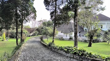 Vistas al jardín