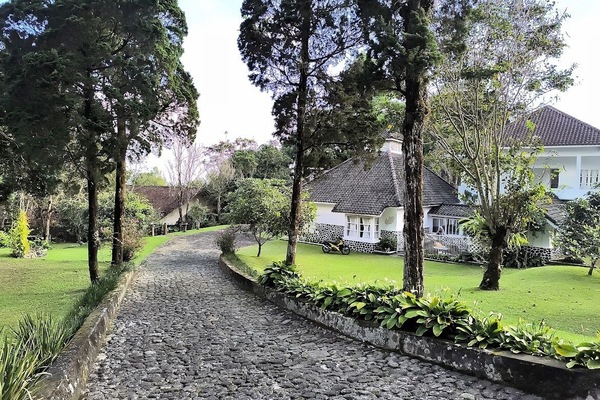 Basic Villa | Garden view