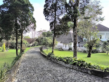 Vista al jardín