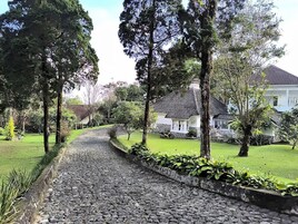 Basic Villa | Garden view