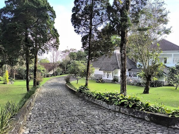 Garden view