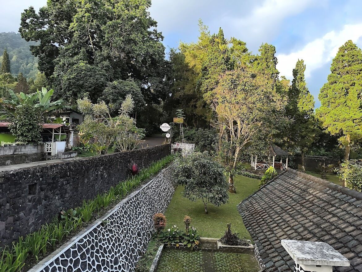 Un patio con un muro de piedra, un pequeño estanque y diversas plantas y árboles.