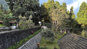 Un patio con un muro de piedra, un pequeño estanque y diversas plantas y árboles.
