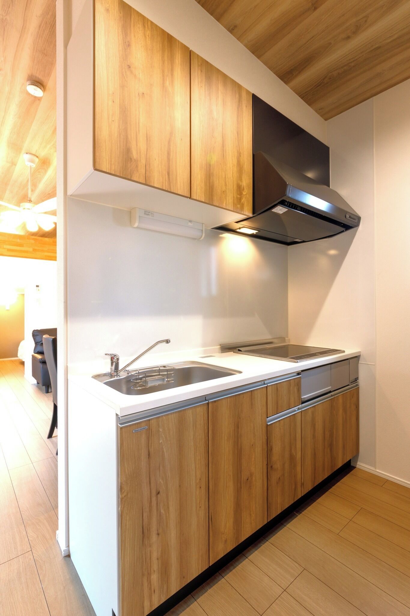 Kühlschrank, Mikrowelle, Herdplatte, Kochgeschirr/Geschirr/Besteck