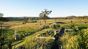 المنطقة المحيطة بالمنشأة