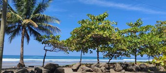 Ocean View 2 Bedroom Condo • 5 Min Walk to the Beach