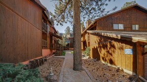 A wooden cabin-style building with a wooden deck and a pathway leading to a door.