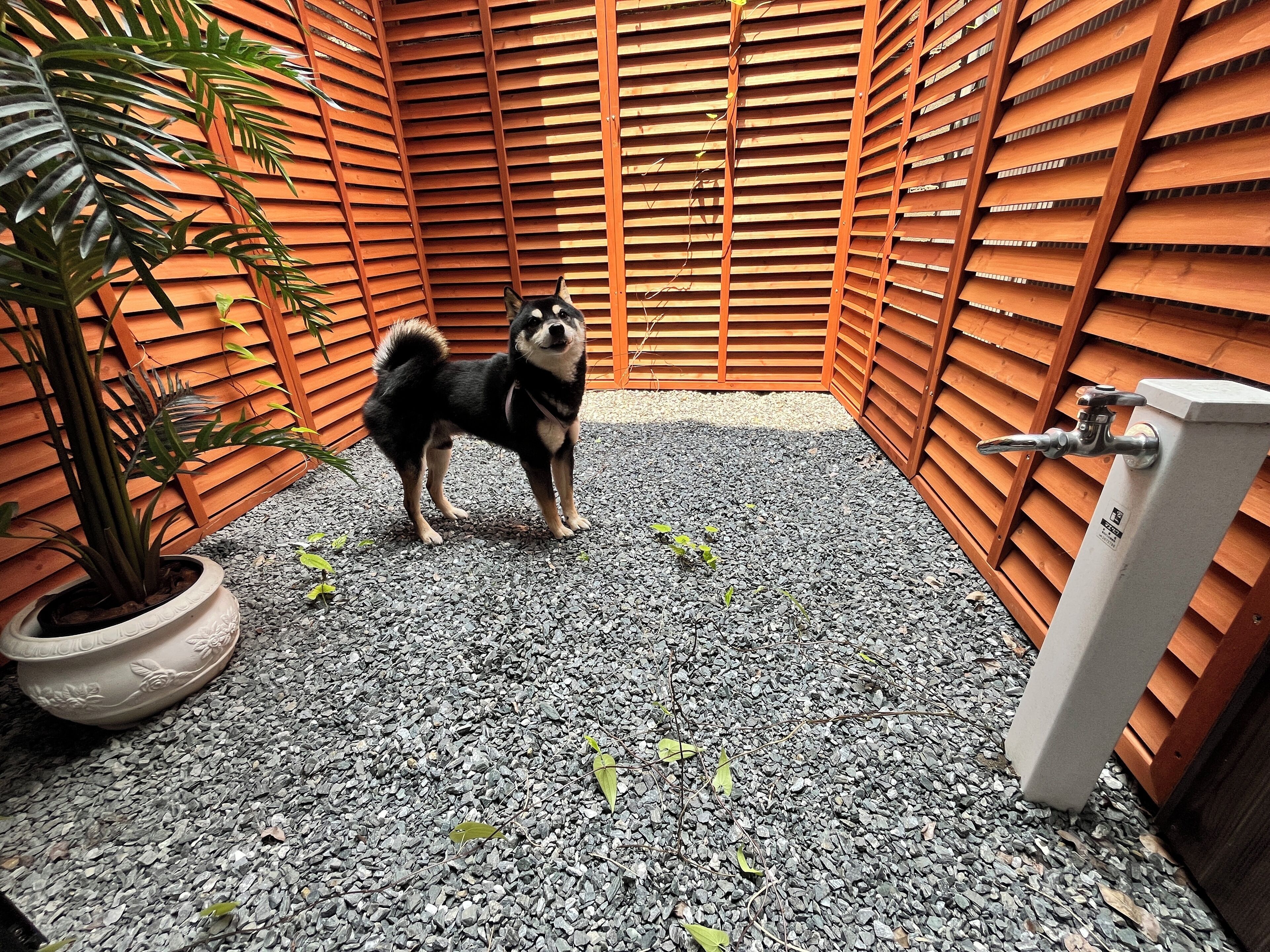 Traditional Apartment | Free WiFi, bed sheets