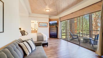 A modern interior with a wooden ceiling, a sofa, a bed, a TV, and a large sliding glass door leading to an outdoor deck.