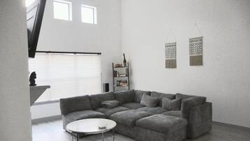 Smart TV, fireplace, DVD player, books