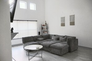 TV connectée, cheminée, lecteur de DVD, livres