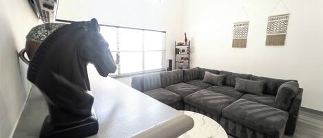 Smart TV, fireplace, DVD player, books