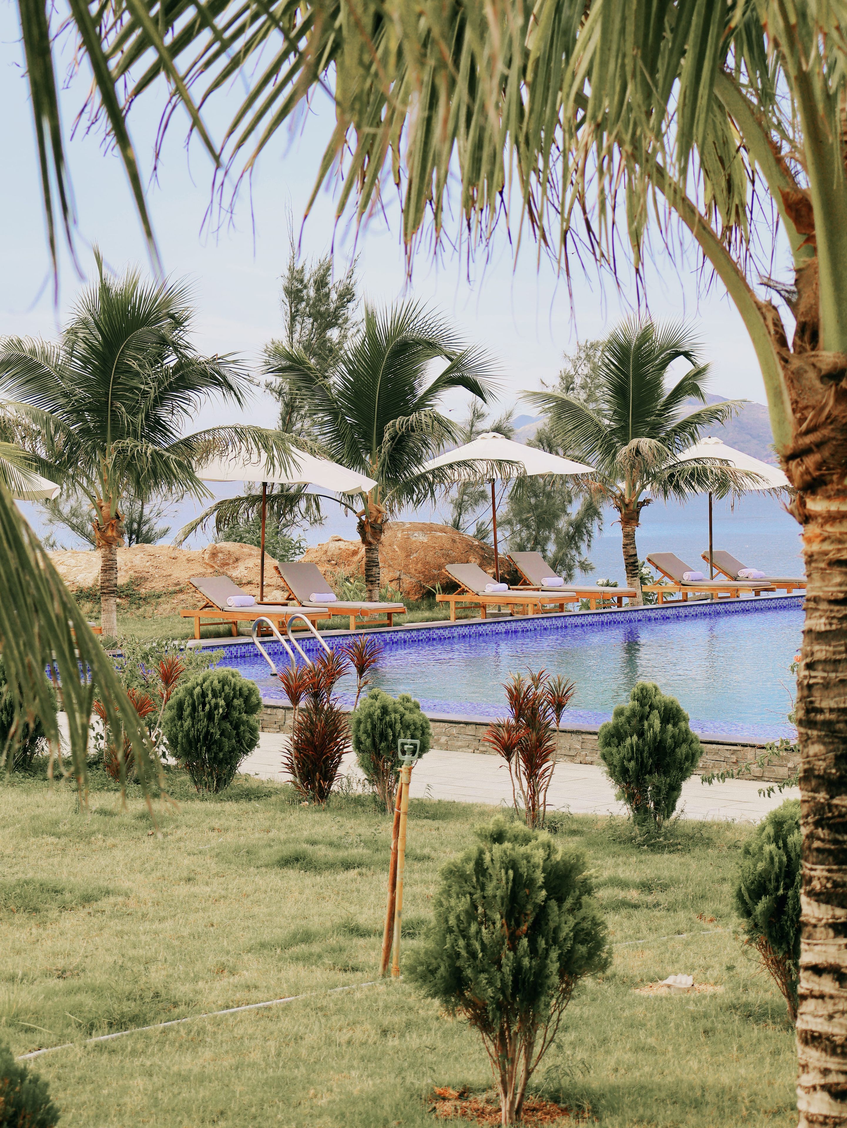 Un espace piscine agrémenté de chaises longues et de parasols, entouré de palmiers et offrant une vue dégagée sur l’eau.