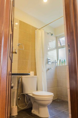 Shower, towels, soap, toilet paper
