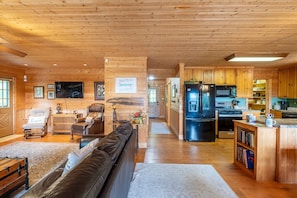 TV, fireplace, books
