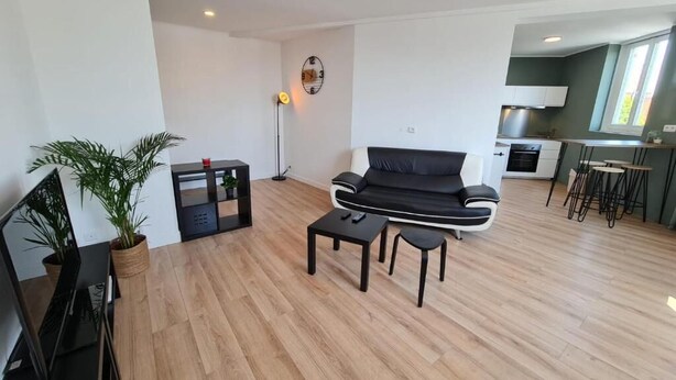A modern living room with a black sofa, a coffee table, and a TV. There is a kitchen area with a window and a plant. - The Scottman House (Arras)