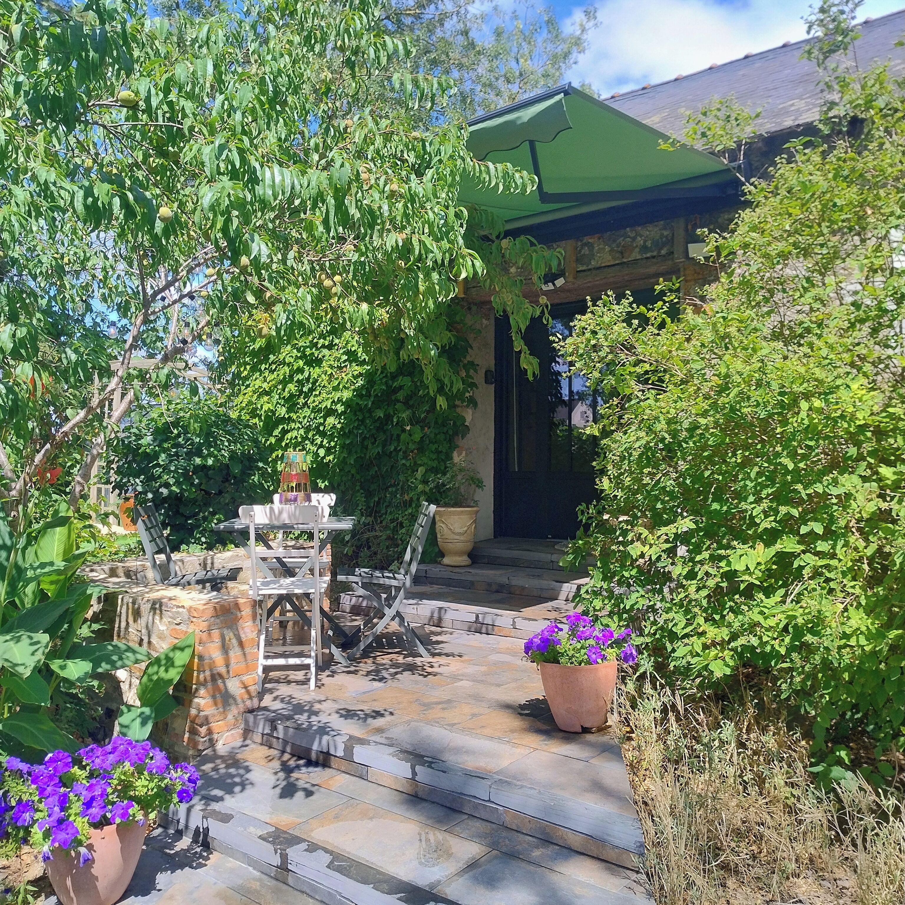 A stone pathway leading to a house with a green roof, surrounded by lush greenery and potted flowers.