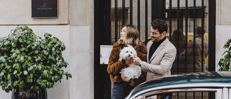 Vista frontal de la propiedad