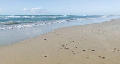 6 Person Holiday Home in Brovst