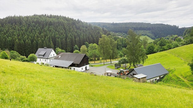 Un paysage rural avec une ferme, une route et une colline boisée.