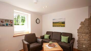 Fernseher, Stereoanlage