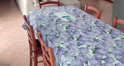 Places of main interest Lake Como Bellagio Menaggio Varenna Lecco