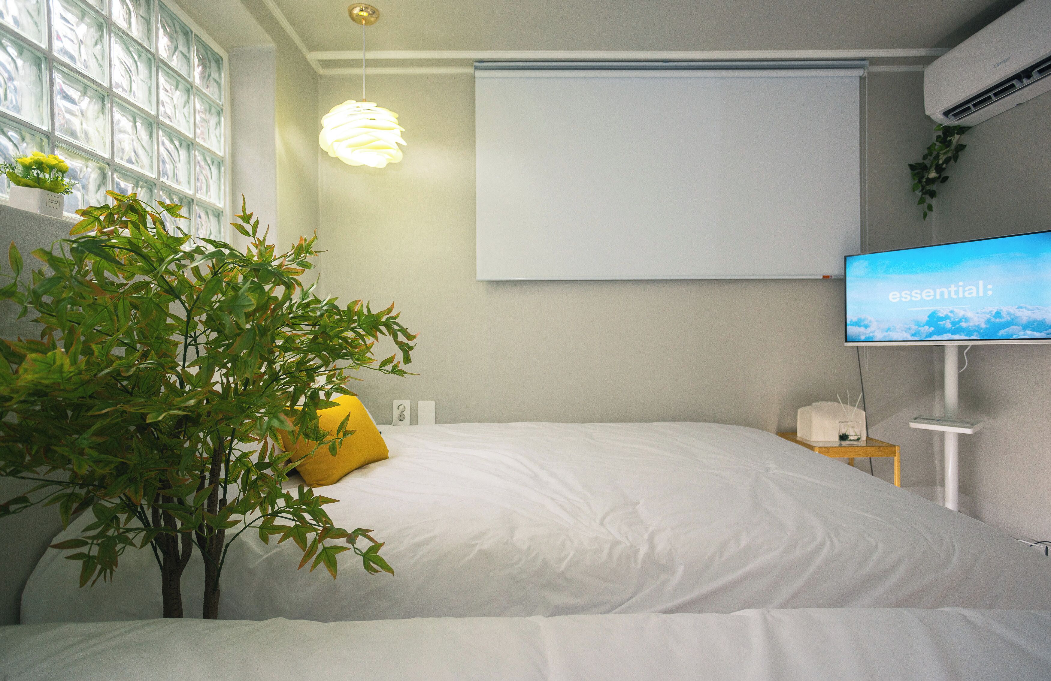 Une chambre à coucher avec un lit, une plante en pot, une table de chevet avec une lampe et un téléviseur fixé au mur.