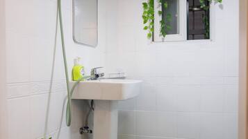 Hair dryer, towels, soap, toilet paper