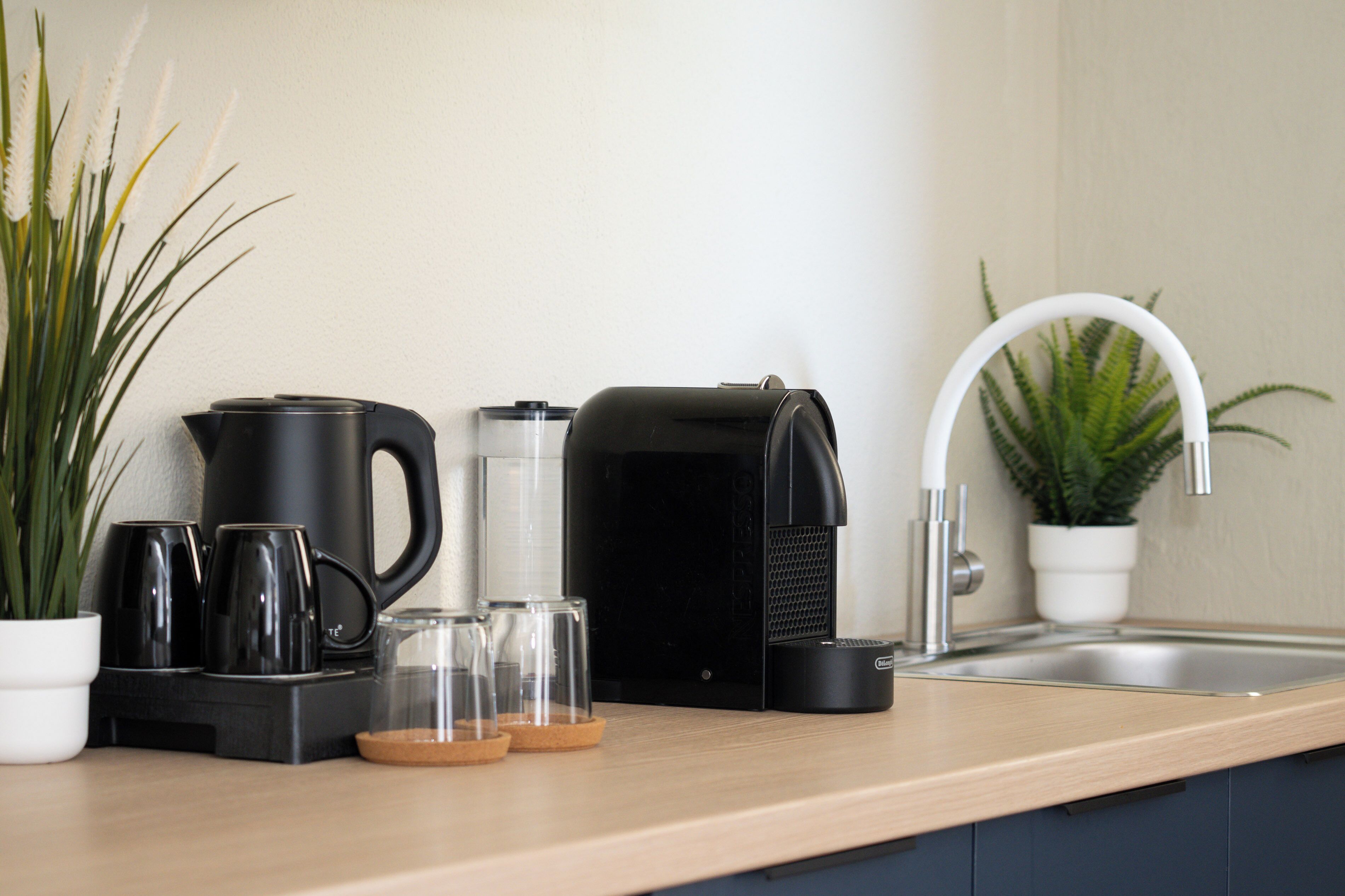 Un comptoir de cuisine avec une machine à café, une bouilloire et un évier. On y trouve également deux plantes en pot et quelques verres.