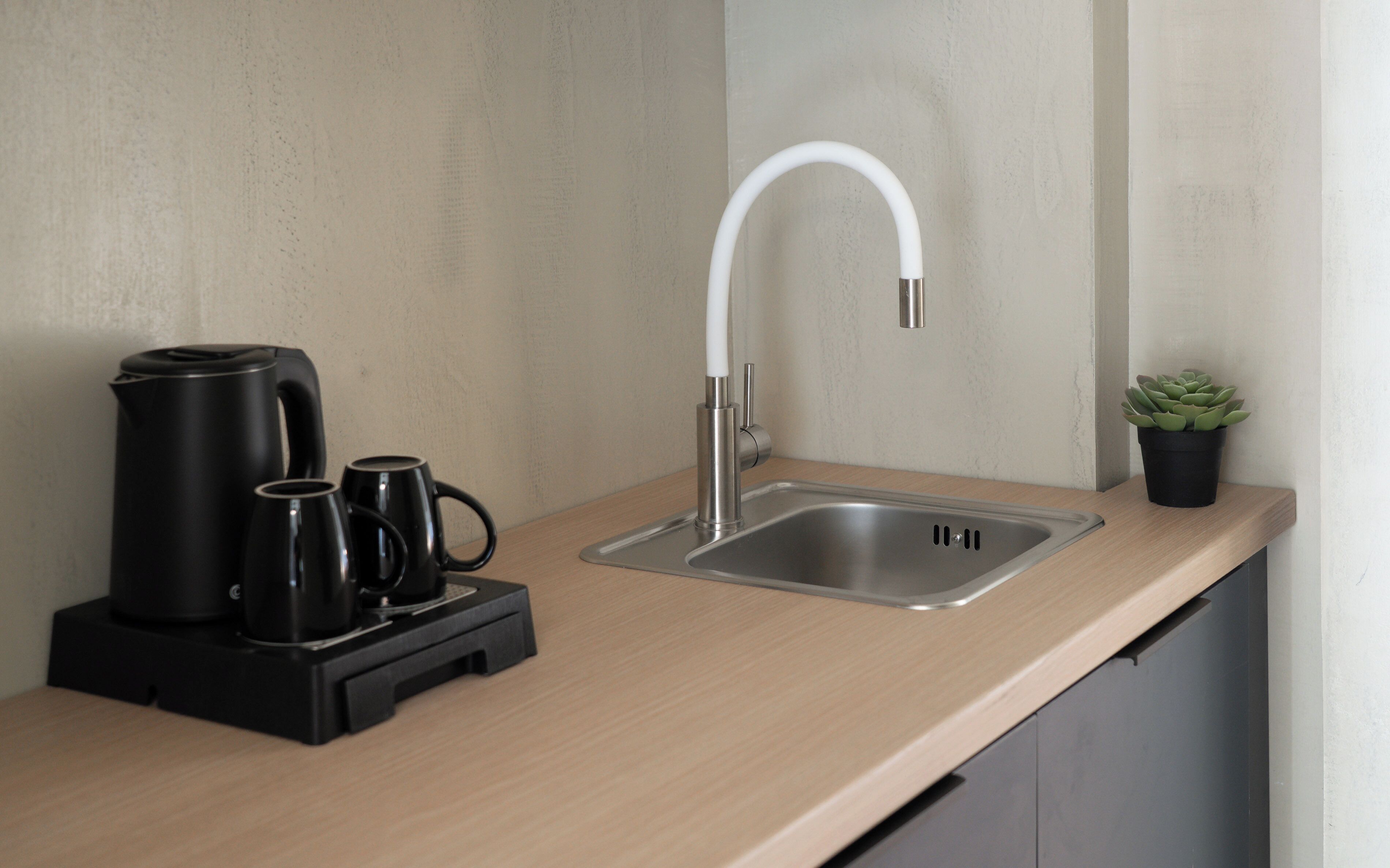 A kitchen with a stainless steel sink, a modern faucet, a coffee maker, and a potted plant.