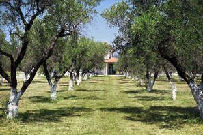 House, Multiple Bedrooms, Private Pool, Garden View | Exterior - Villa Elia Spacious Guest House (Polygyros)