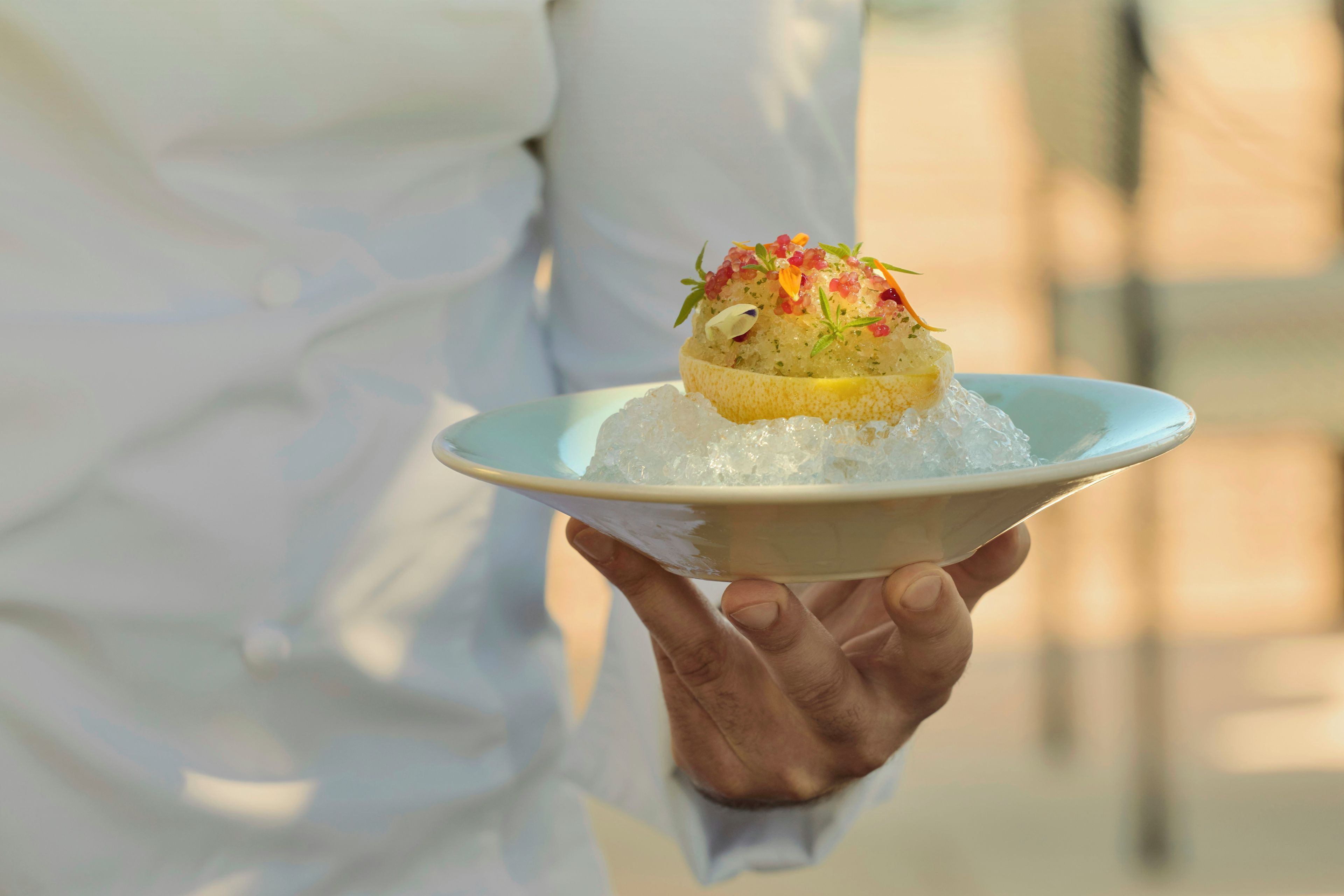 Une personne tenant une assiette sur laquelle repose un aliment, le tout posé sur un lit de glace.