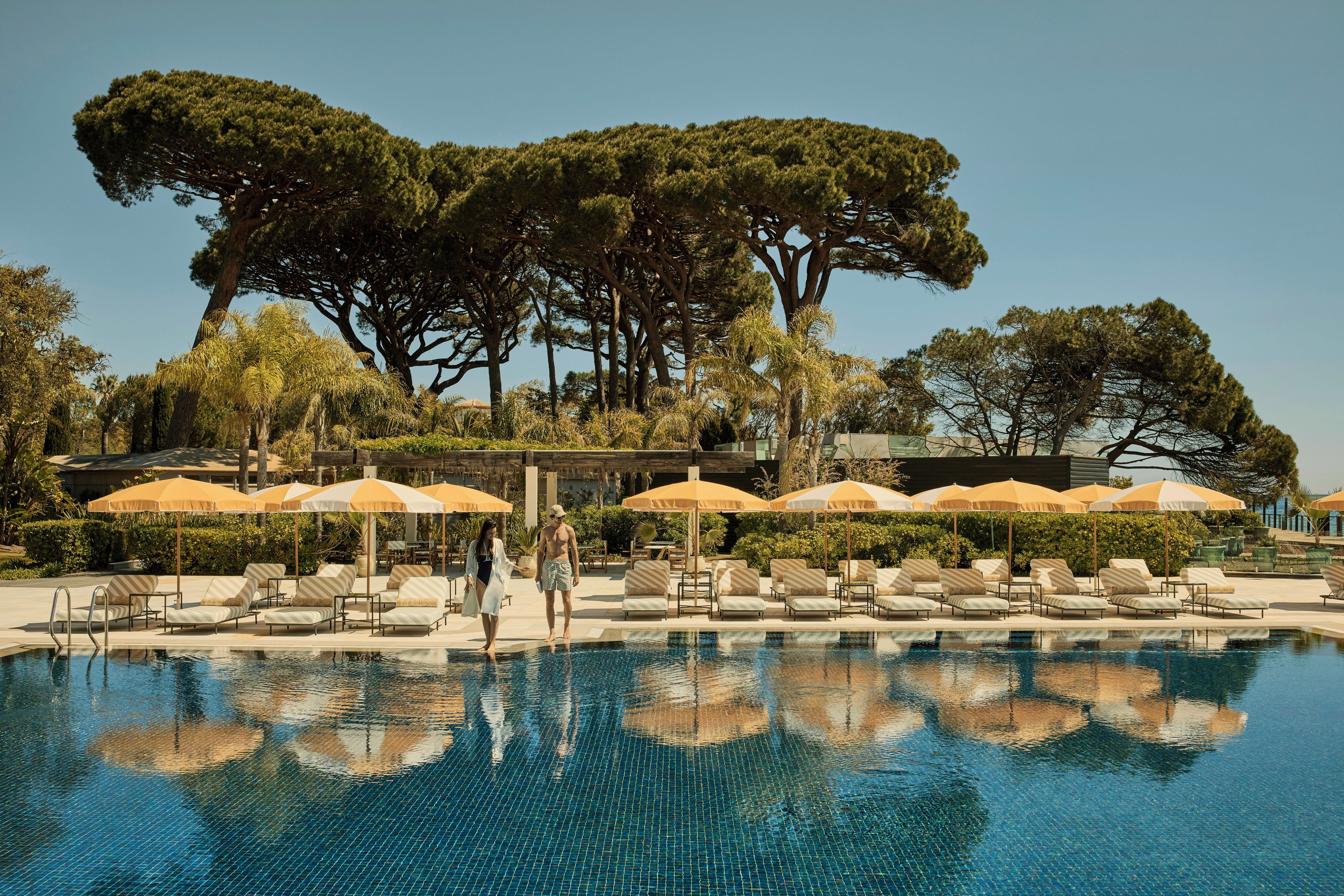 A pool area with lounge chairs and umbrellas, surrounded by trees.