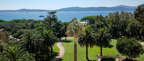 Vista desde la habitación