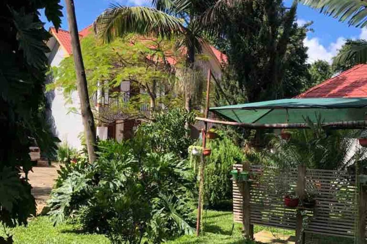 Un jardí exuberant amb diverses plantes tropicals i una petita construcció amb teulada verda.