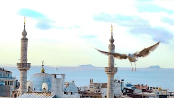 A view of a mosque with two minarets and a dome, overlooking a body of water with buildings in the foreground.