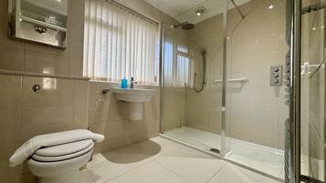 Shower, hair dryer, towels