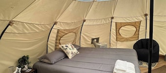 Waverly Lakeview Stargaze