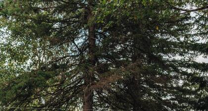 Chalet Alpin | Walk to Lake & Beach | Spa & BBQ