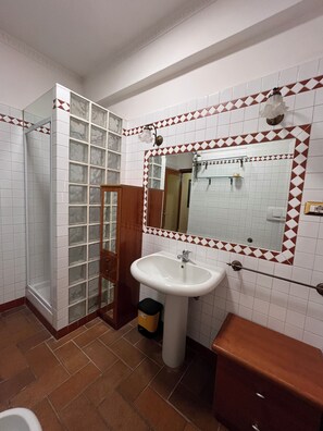 Shower, hair dryer, bidet, towels