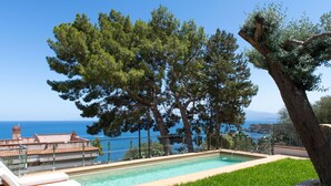 Una piscina con vistas al mar, rodeada de árboles y una valla.