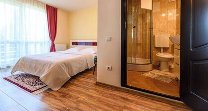 Tranquil 1-bedroom house in Bușteni