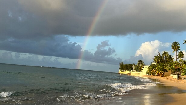 A beach with a rainbow, palm trees, and a cloudy sky. - Solar-powered Gem Tours Walk to Beaches Eats (San Juan)