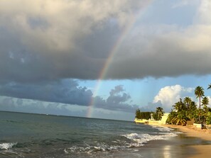 A beach with a rainbow, palm trees, and a cloudy sky.